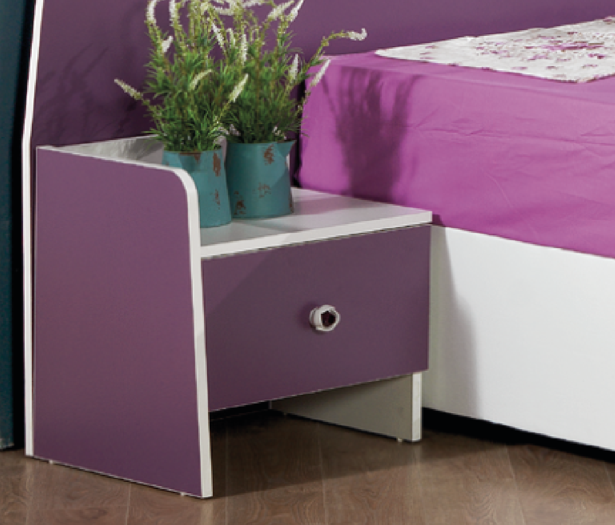 CARMEN GENÇ ODASI (FUŞYA)